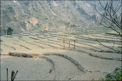 Click for next image of Nepal...